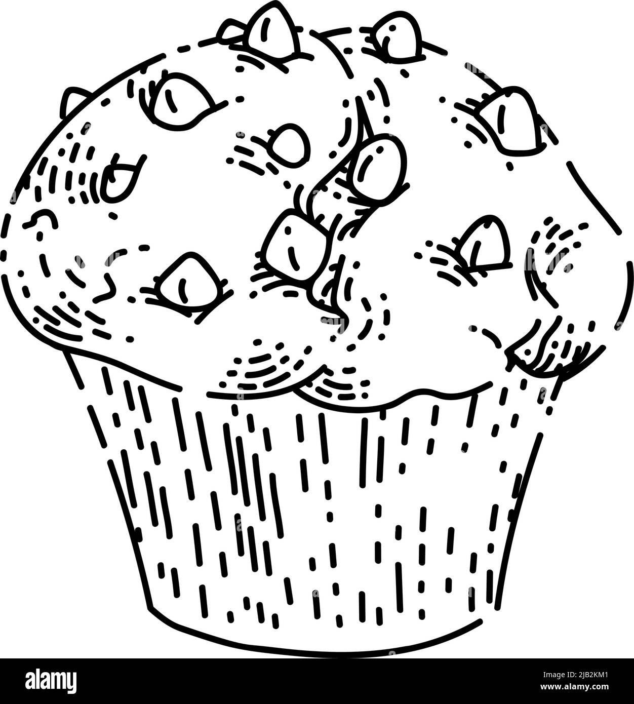 muffin sketch hand drawn vector Stock Vector Image & Art Alamy
