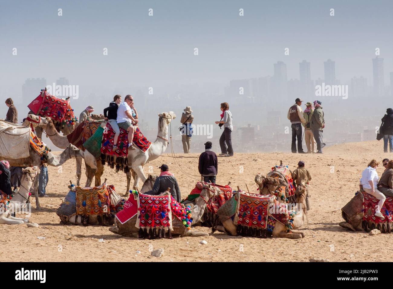 Egypt, Cairo. Tourists having a camel ride around the Giza pyramids ...