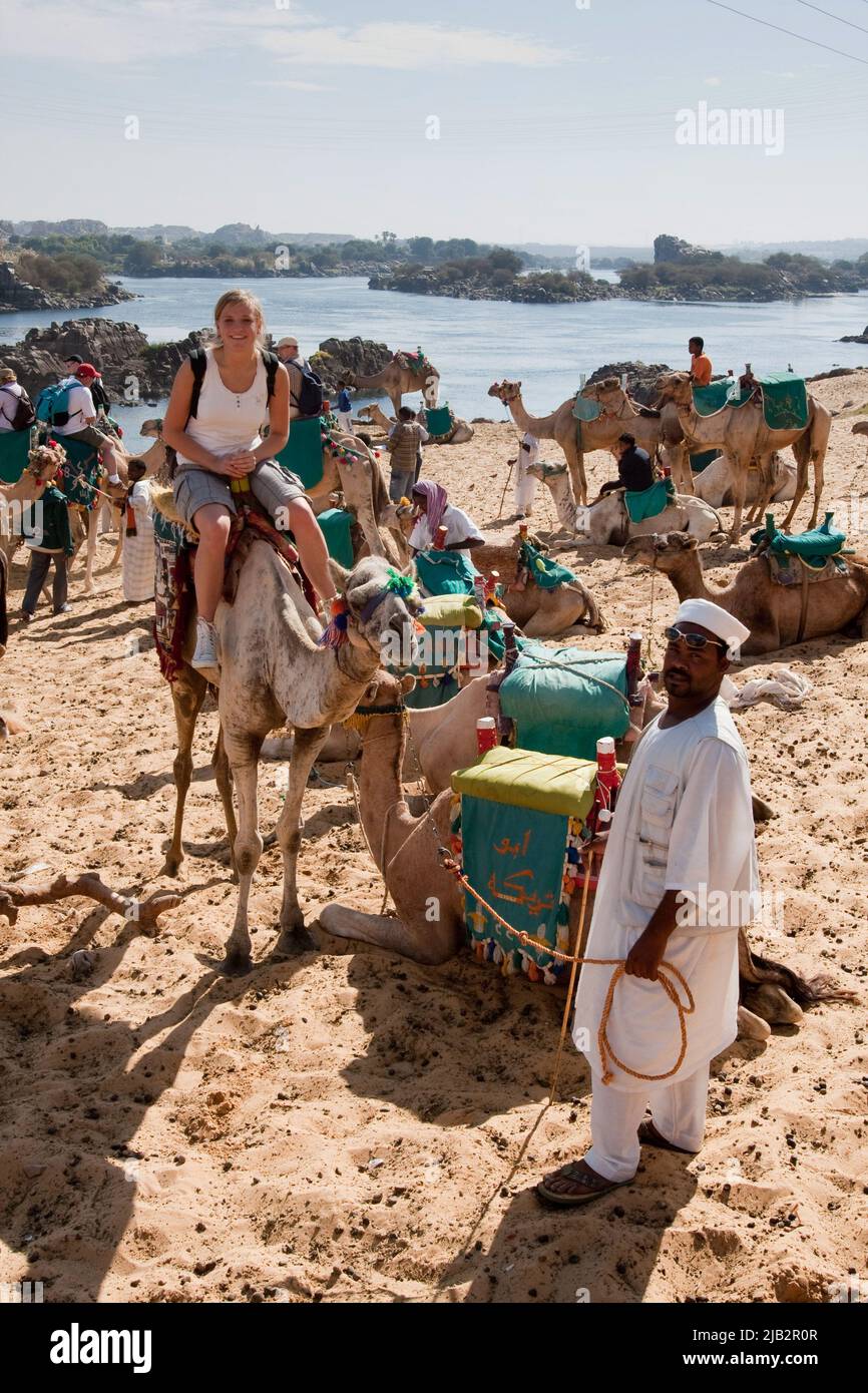 Egypt, Aswan. Just outside the city tourists can ride camels or a dromedaris for a short trip around nubian villages. Stock Photo