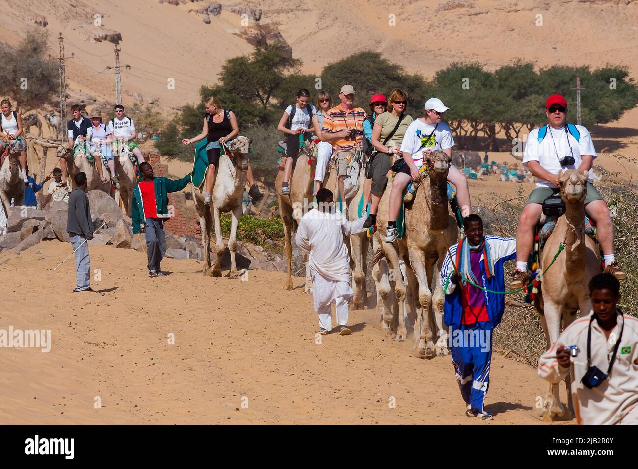 Egypt, Aswan. Just outside the city tourists can ride camels or a dromedaris for a short trip around nubian villages. Stock Photo