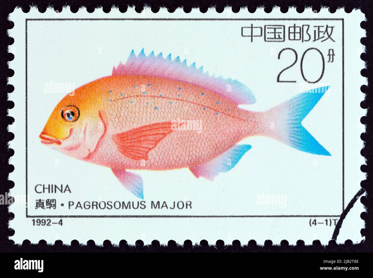 CHINA - CIRCA 1992: A stamp printed in China from the 'Offshore Breeding Projects' issue shows Japanese seabream (Pagrosomus major), circa 1992. Stock Photo