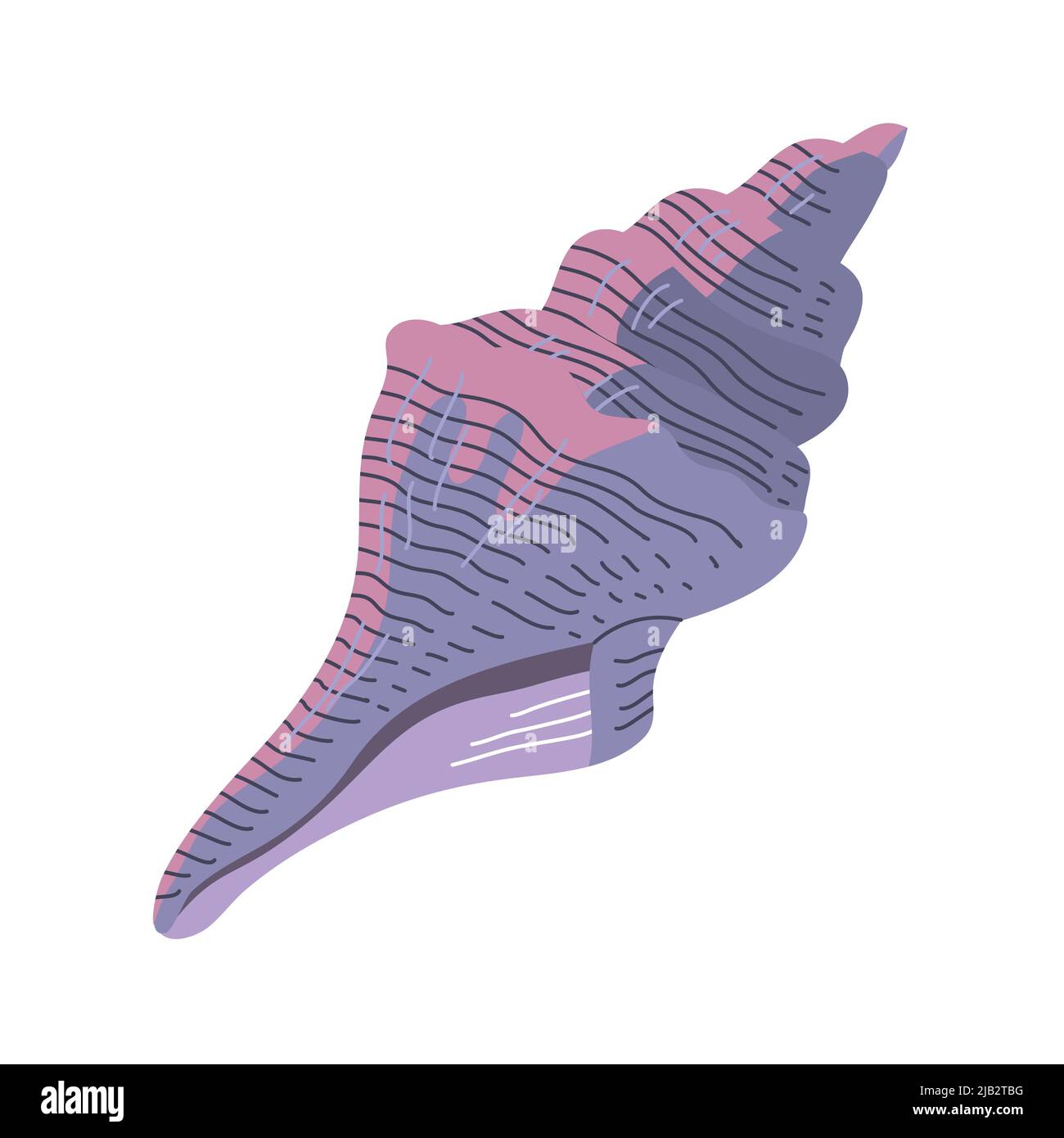 Snail sea shell. Marine underwater twisted seashell. Spiral shape