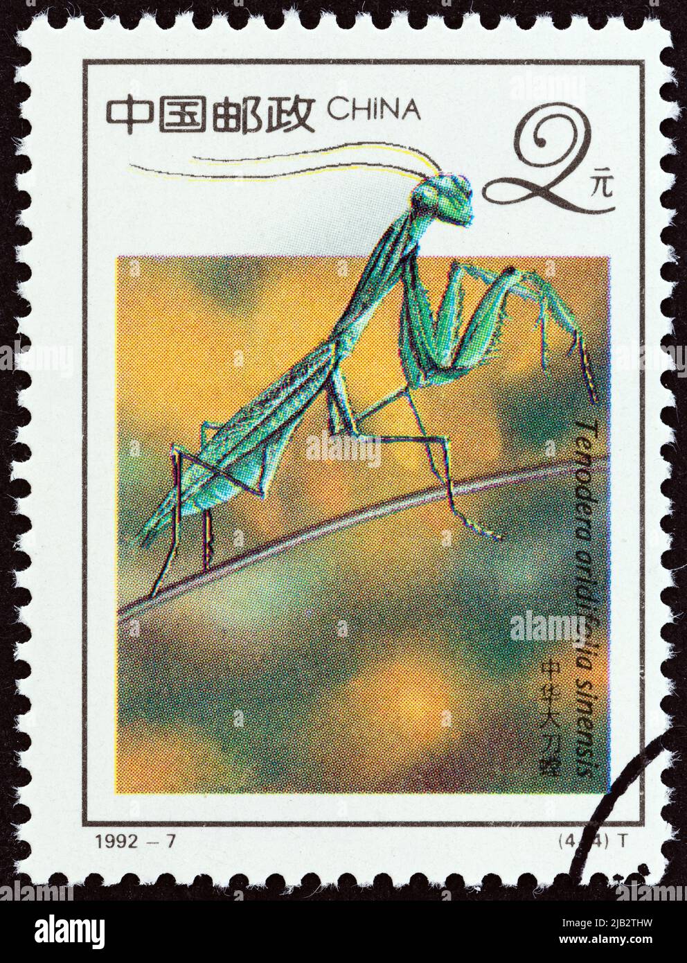 CHINA - CIRCA 1992: A stamp printed in China shows Chinese mantis (Tenodera aridifolia sinensis), circa 1992. Stock Photo