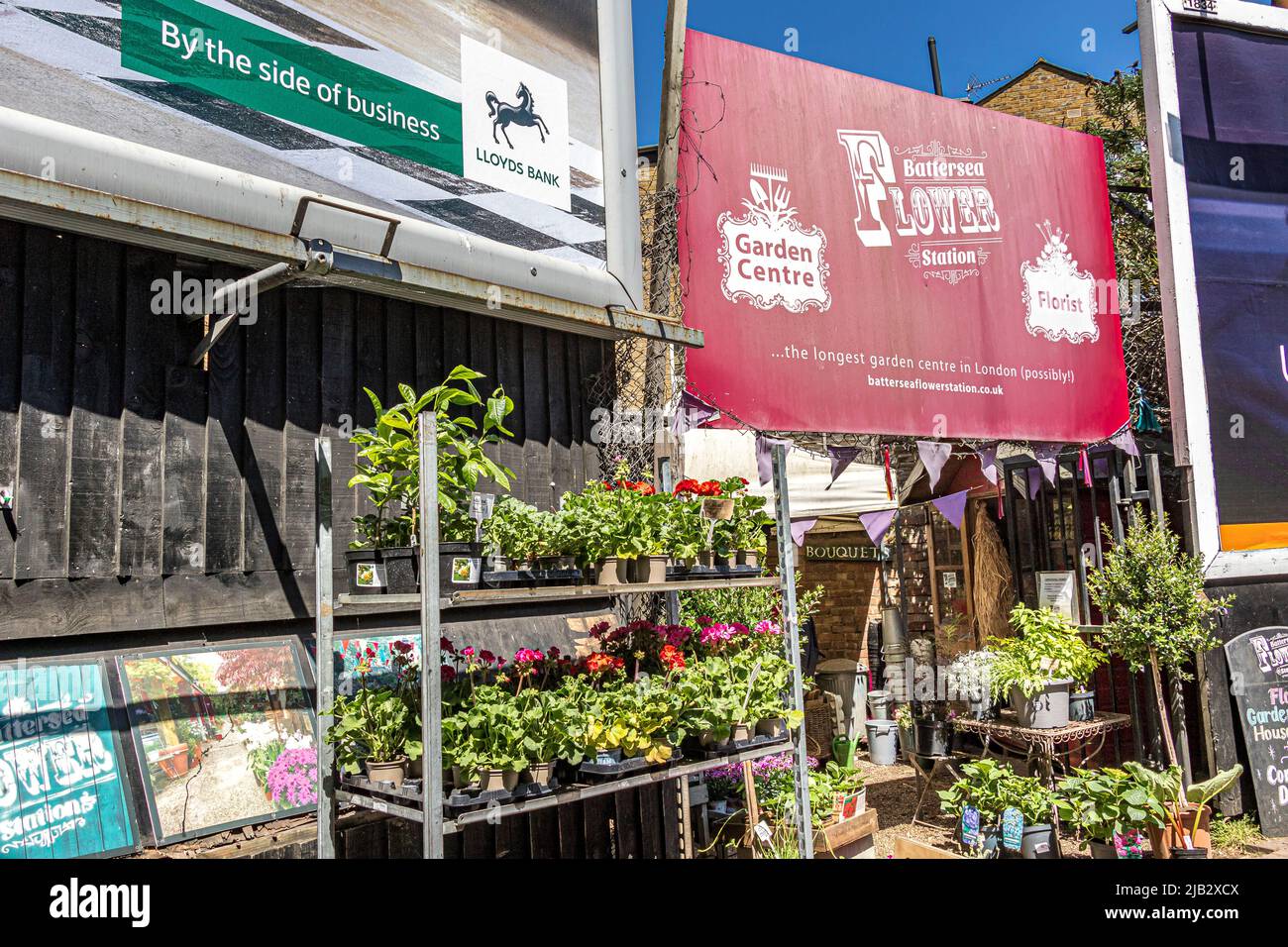 Battersea florist hires stock photography and images Alamy