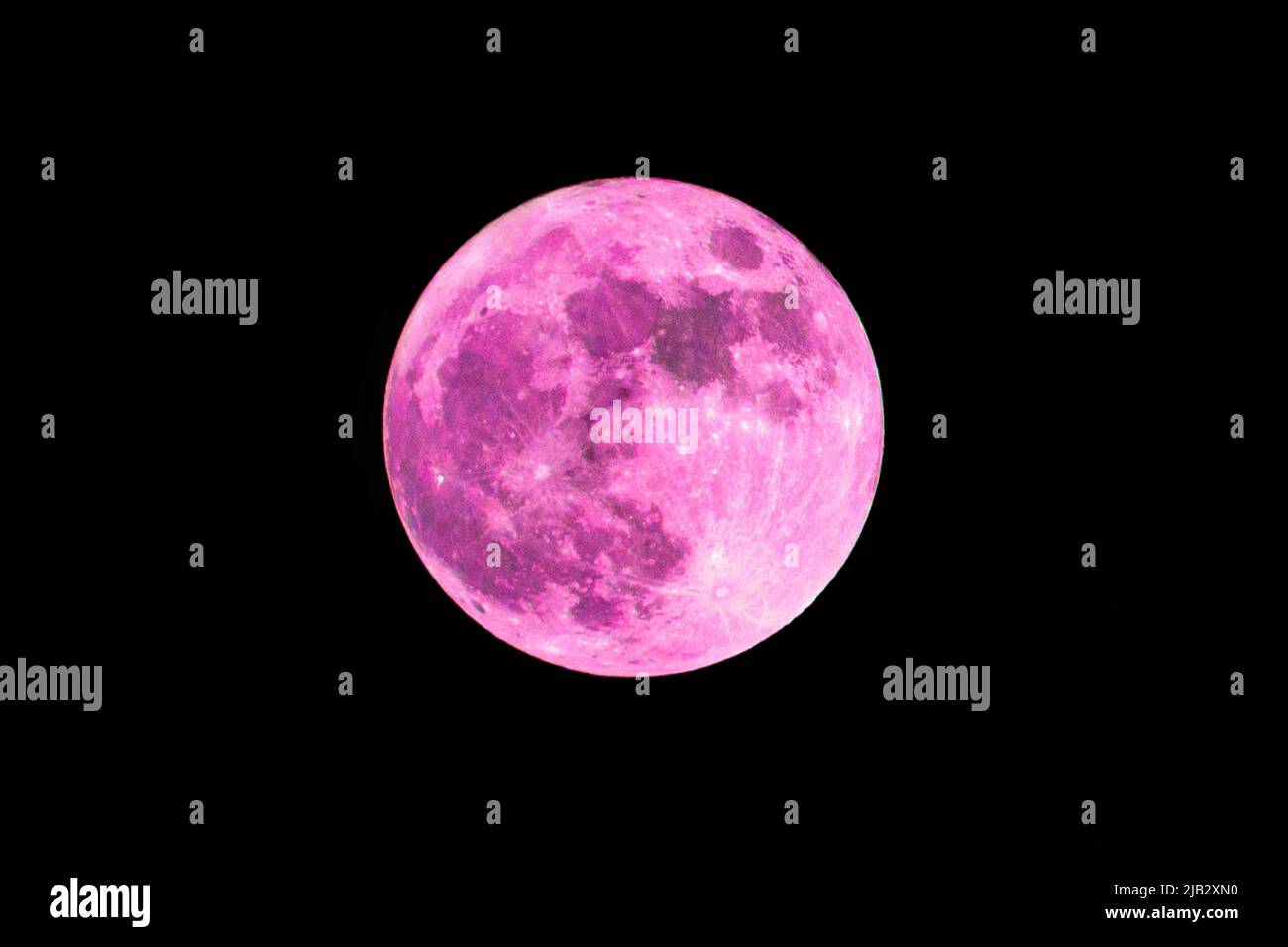 Pink Moon. Pink full moon. Snow moon. Super full moon with dark