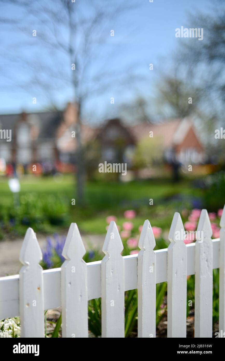 Perfect white American picket fence at the Tulip time festival in
