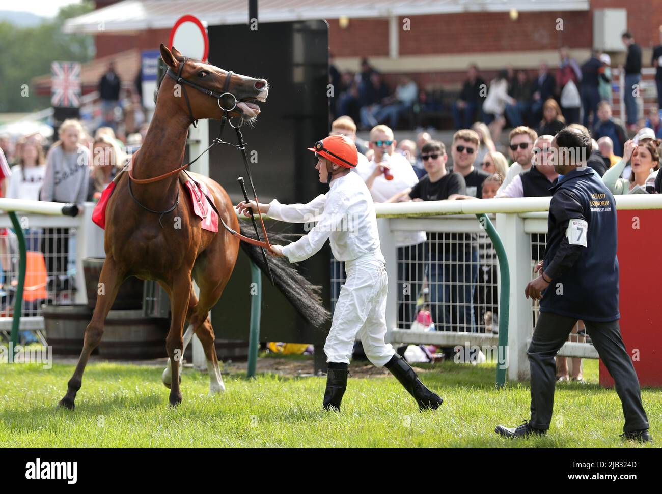 Sean Davis struggles with Jazzy Princess in the Jacks Coaches Handicap ...