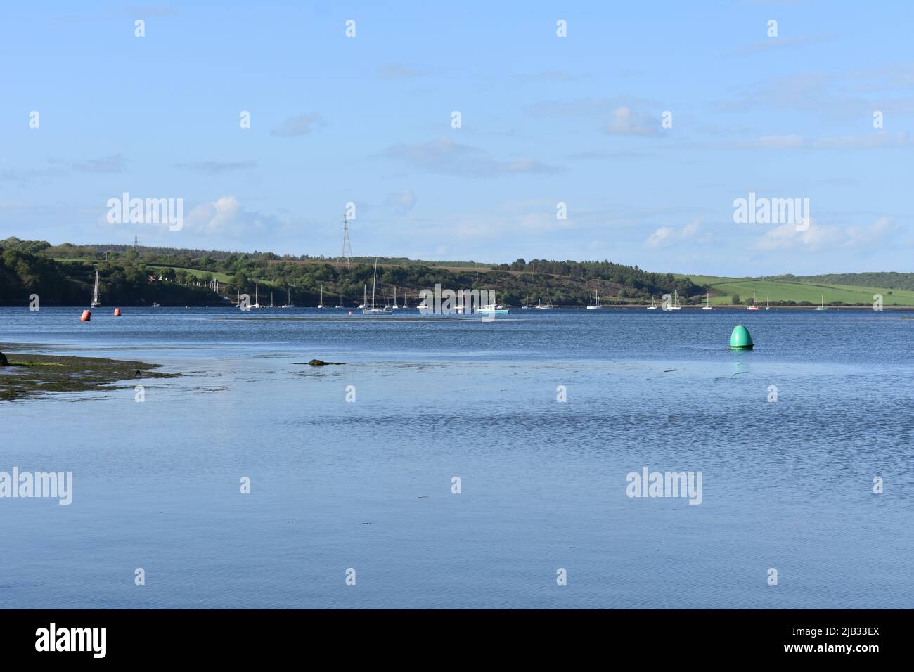 Cleddau river at East Llanion, Pembrokeshire, Wales Stock Photo