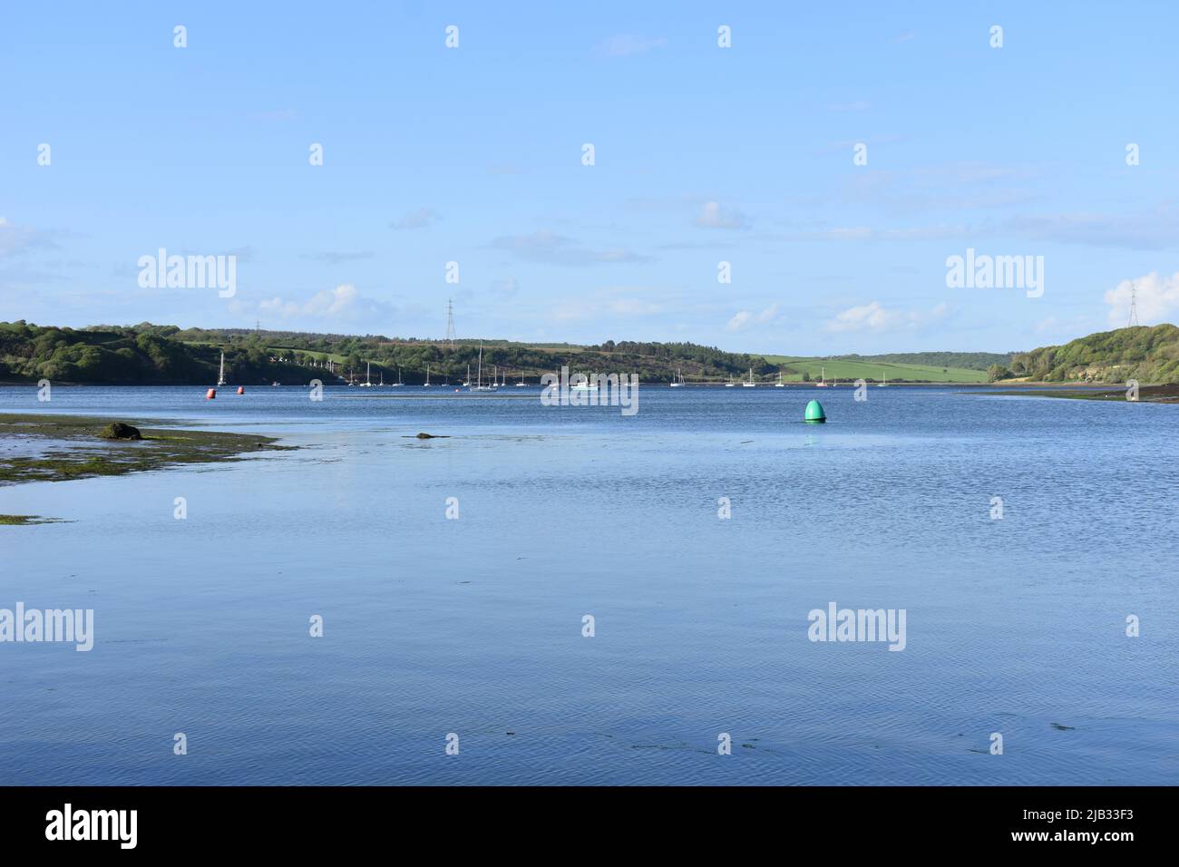 Cleddau river at East Llanion, Pembrokeshire, Wales Stock Photo