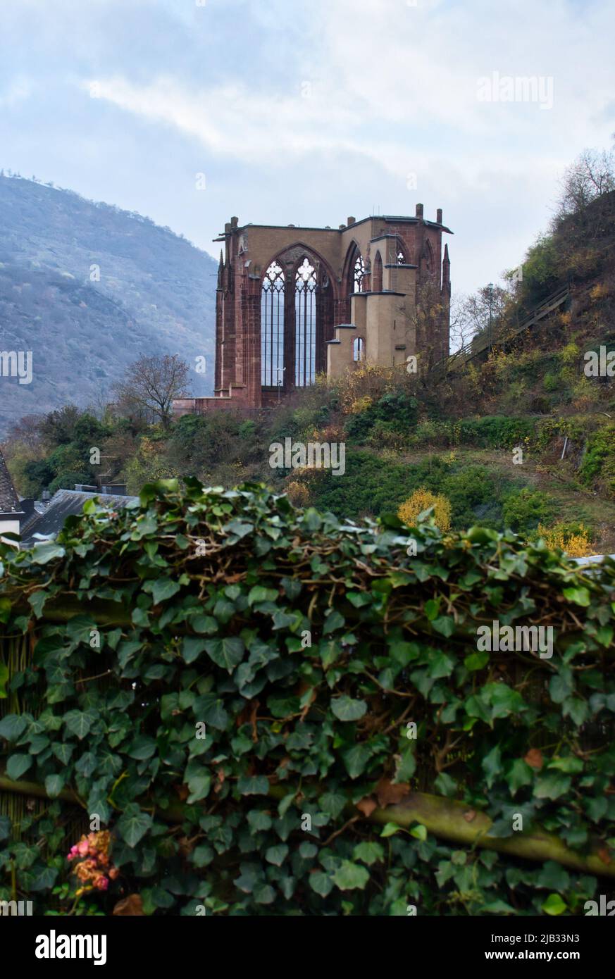 Green plants growing near Wernerkapelle ruins above Bacharach, Germany on a fall day. Stock Photo