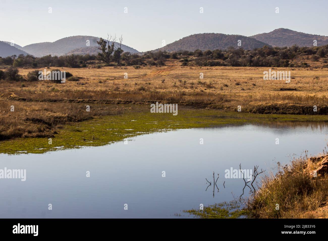 A small lake, in the bushveld of rural South Africa, with the hills of the Vredefort dome in the background Stock Photo