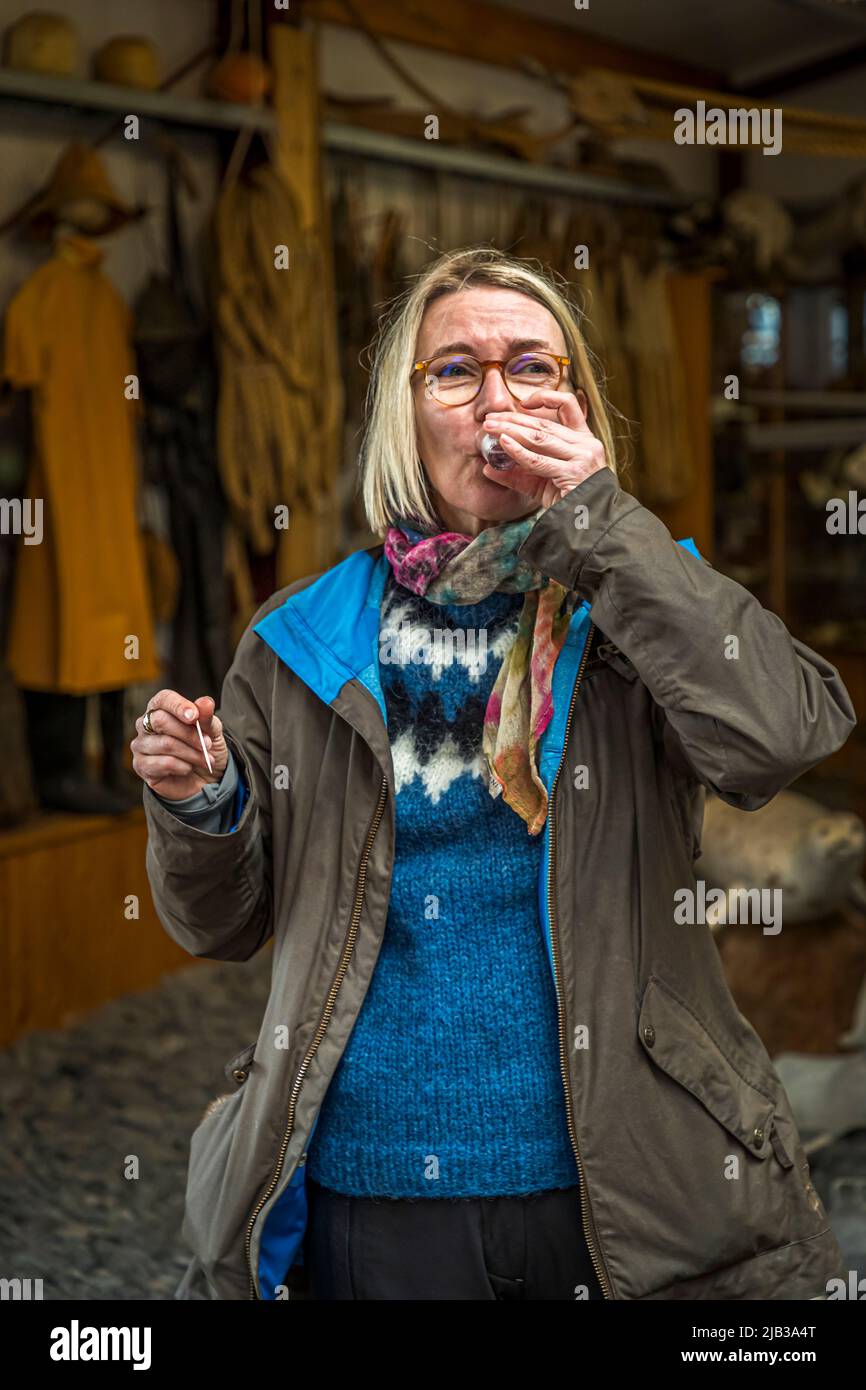 Bjarnarhöfn Iceland Shark Museum, where the mystery of the fermented shark is solved. Hakarl Tasting for Beginners. The pungent taste of overripe blue cheese is followed by an Icelandic liquor called Black Death Stock Photo