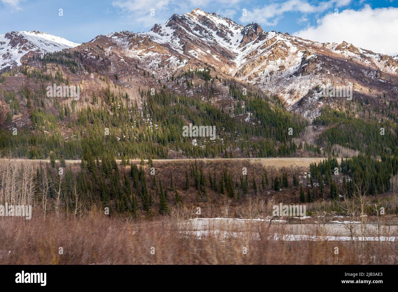 Alaskan Railroad train from Denali to Fairbanks, Alaska Stock Photo