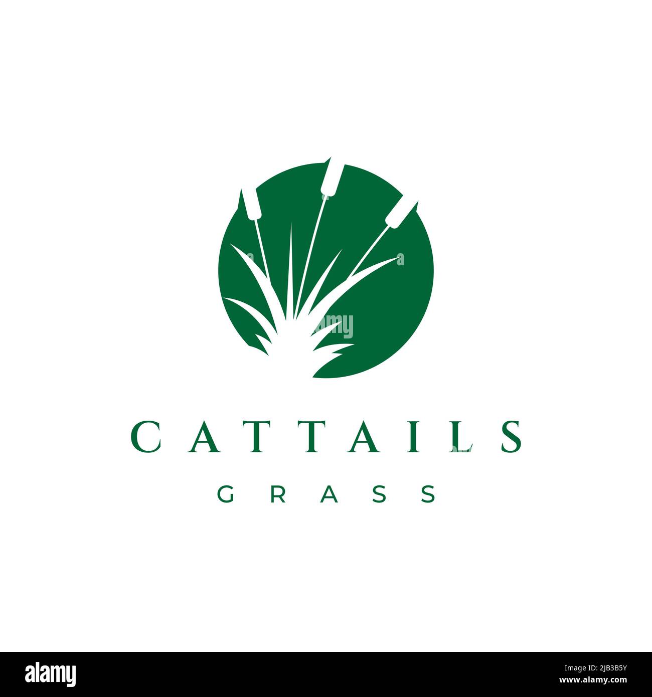 Cattail grass logo design vector illustration Stock Vector