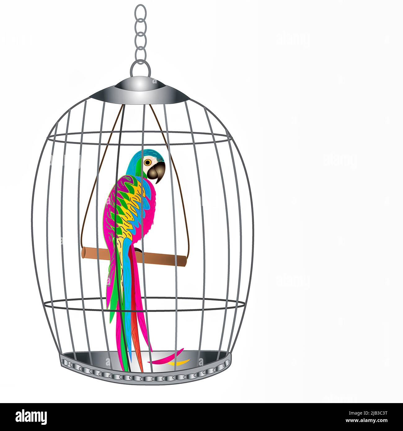 Large graphic bird-cage with tropical parrot inside Stock Photo