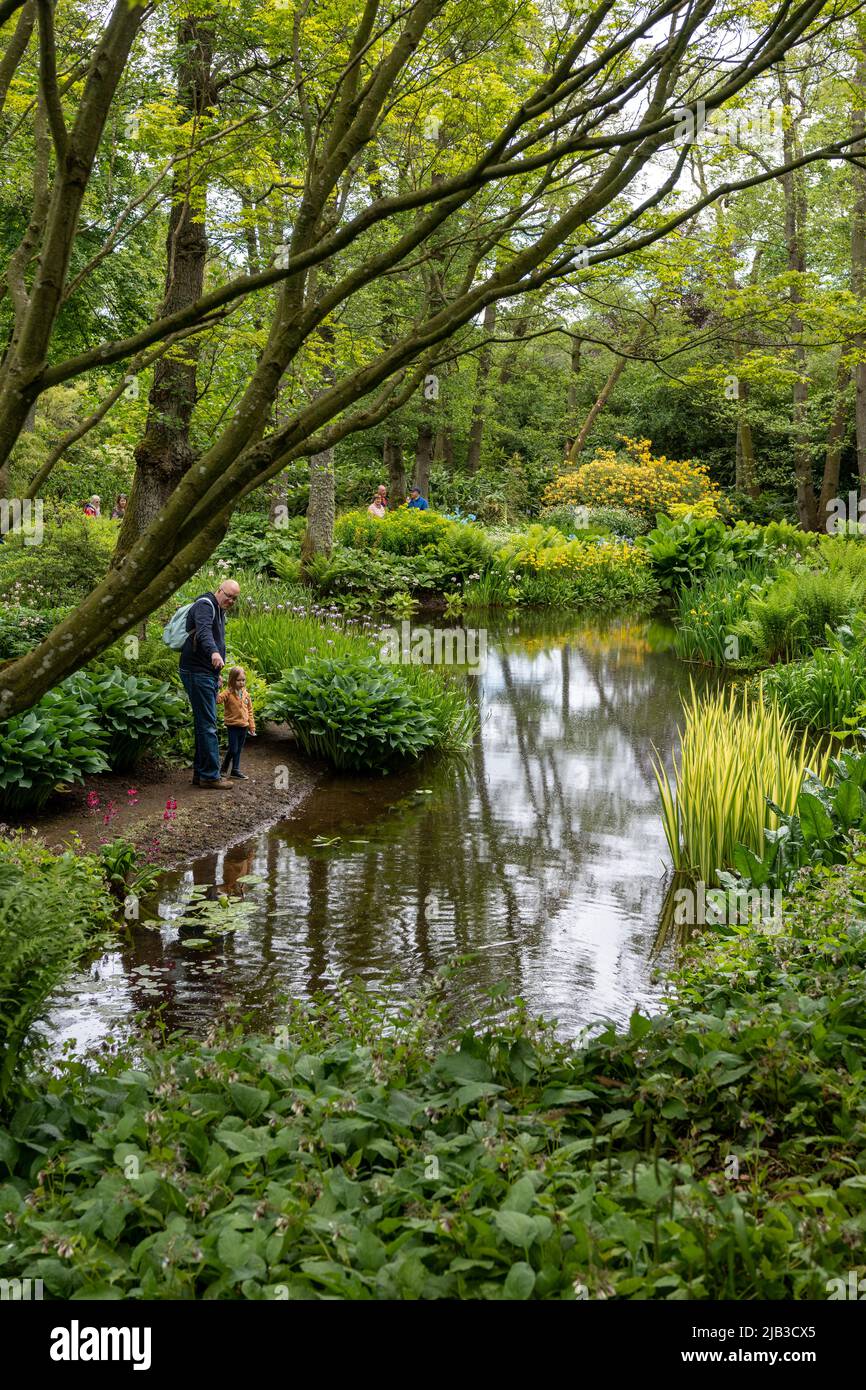 People admiring the pond garden at Lilburn Tower, near Wooler, Northumberland, UK, a mansion