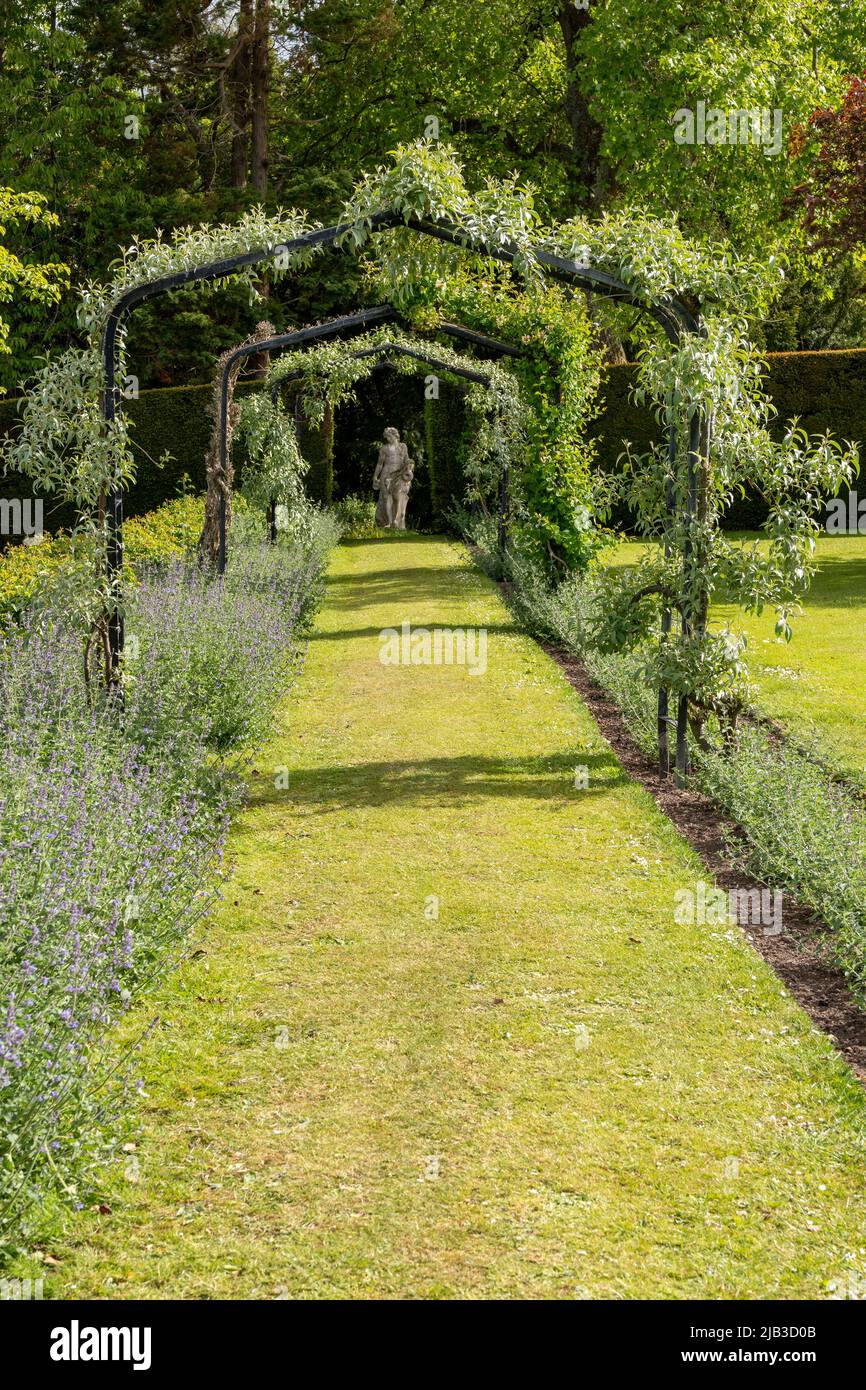 The pergola at Lilburn Tower, near. Wooler, Northumberland, UK, a mansion house gardens open
