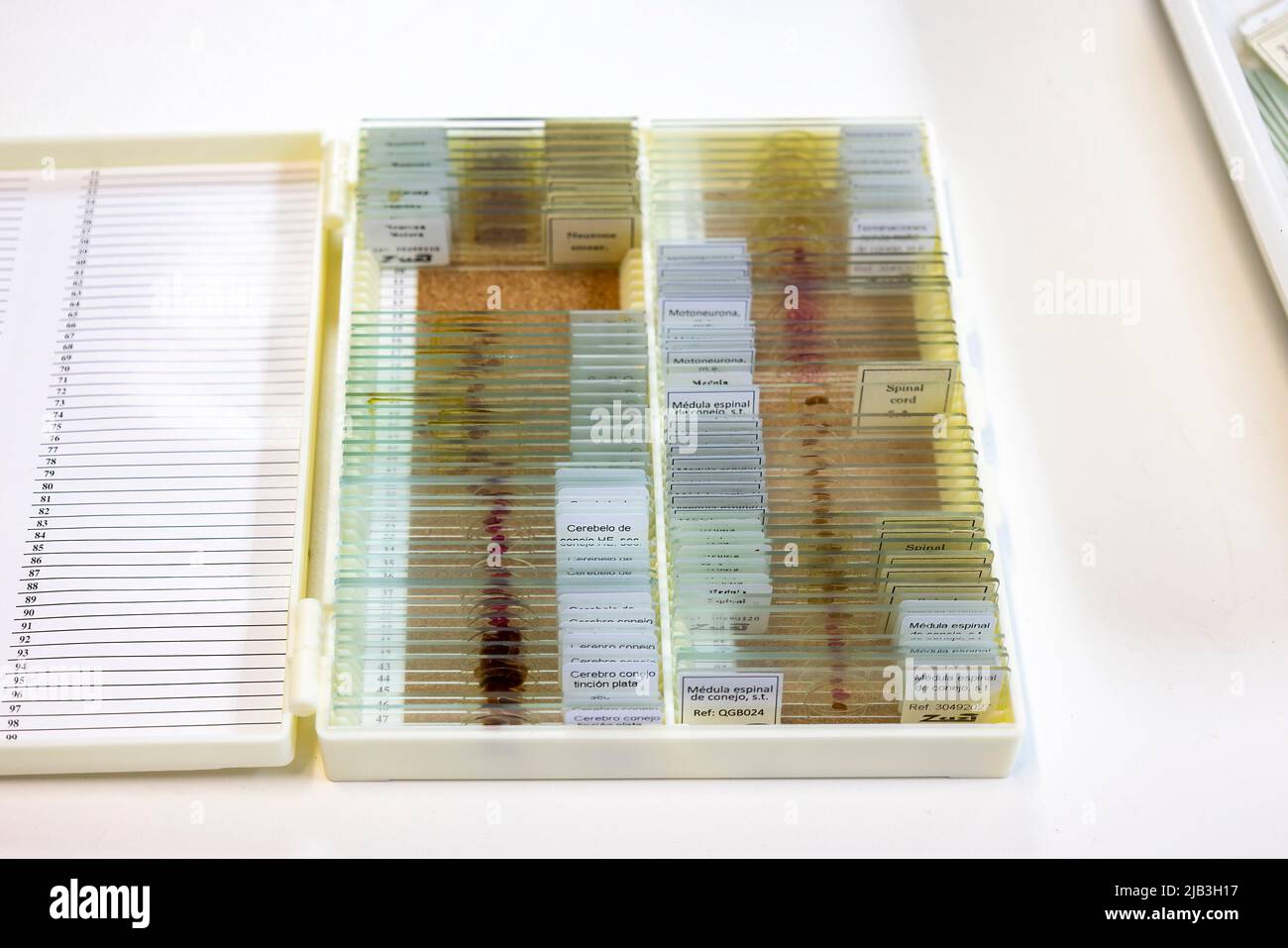 Huelva, Spain - April 28, 2022: Detail of microscope slides in a box for students education Stock Photo