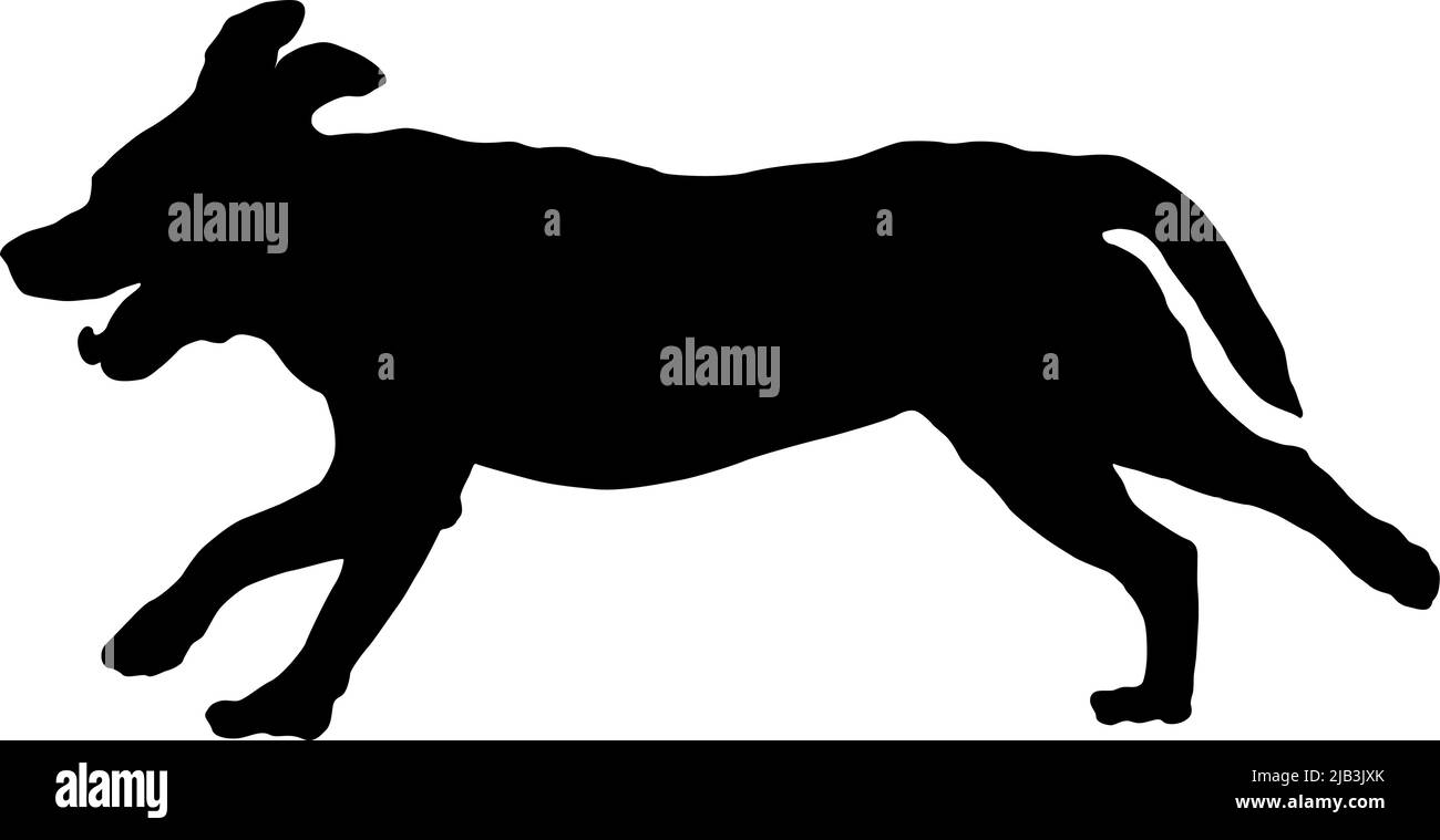 Running Labrador Vector Running labrador retriever puppy. Black dog silhouette. Pet animals ...