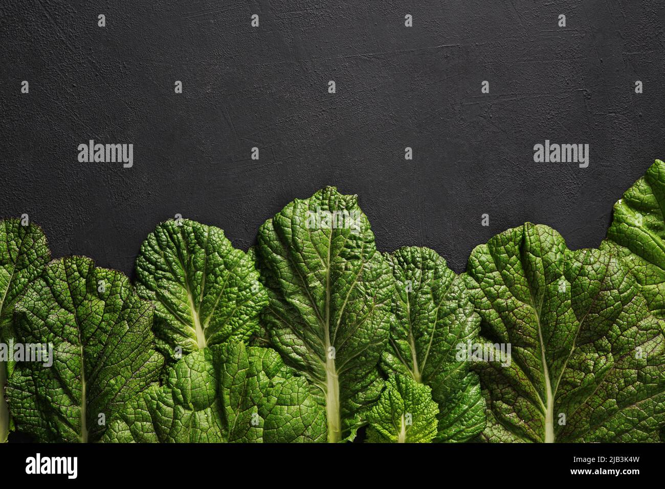 big leaves of japanese mustard mizuna on a dark background in the down closeup, top view. copy space Stock Photo