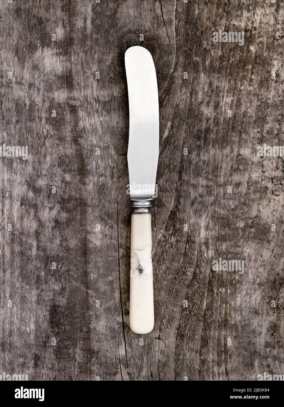 Old Butter Knife with worn bone handle Stock Photo