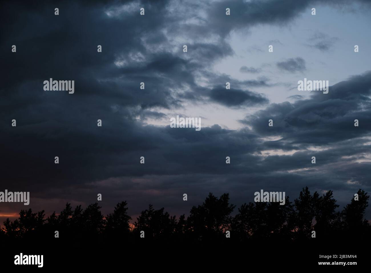 Silhouettes trees, stormy dramatic clouds during evening sunset Stock Photo