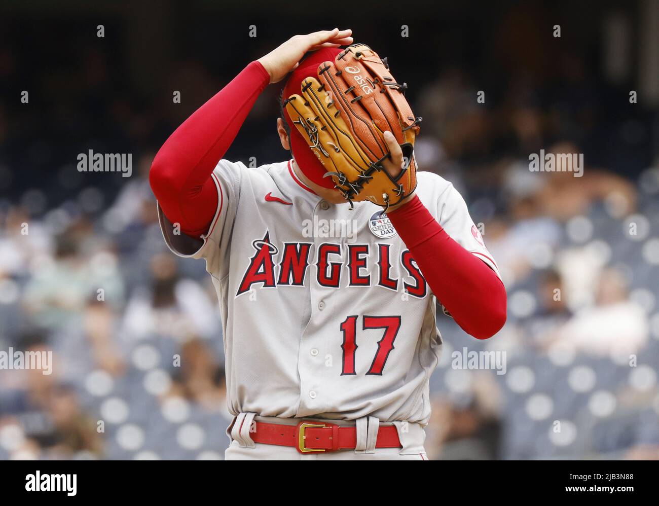 155 M Cabrera Baseball Stock Photos, High-Res Pictures, and Images