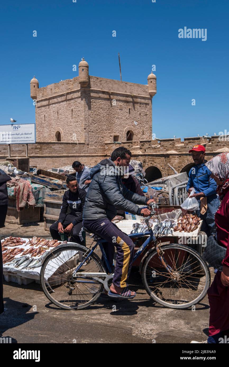 fresh fish market, fishing port, Essaouira, morocco, africa Stock Photo