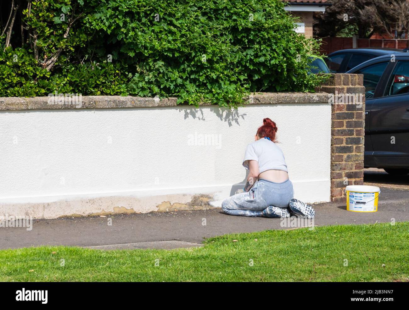Women kneeling on the ground on a public pavement while painting a, exterior garden wall in white. Stock Photo
