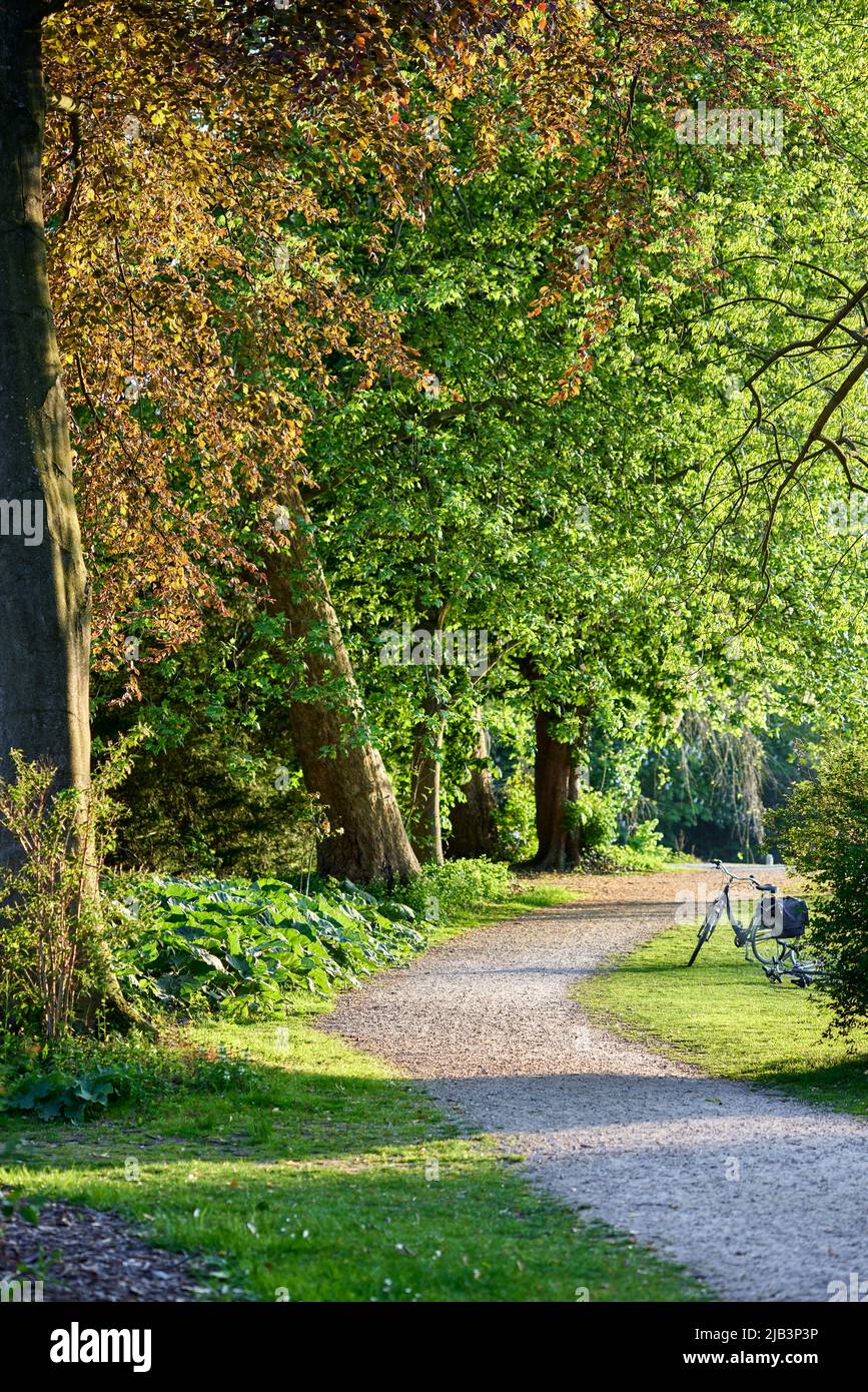 Alley with bicycle in the green spring park in Domain Rivierenhof, Antwerp - Belgium Stock Photo