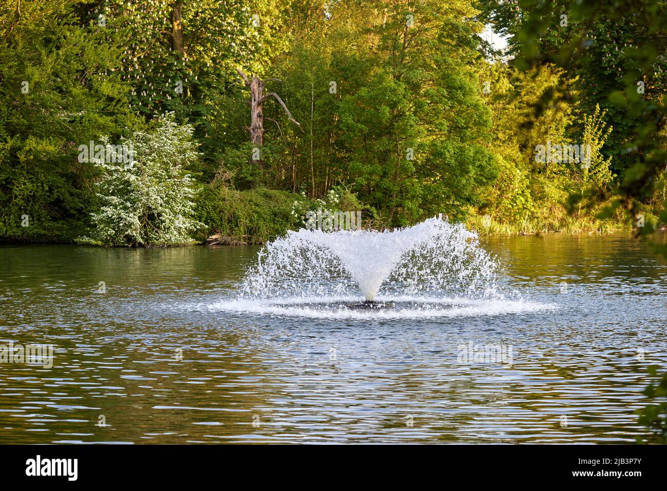 Fountain in pond at sunset in Provincial Domain Rivierenhof Park - Antwerp Belgium Stock Photo