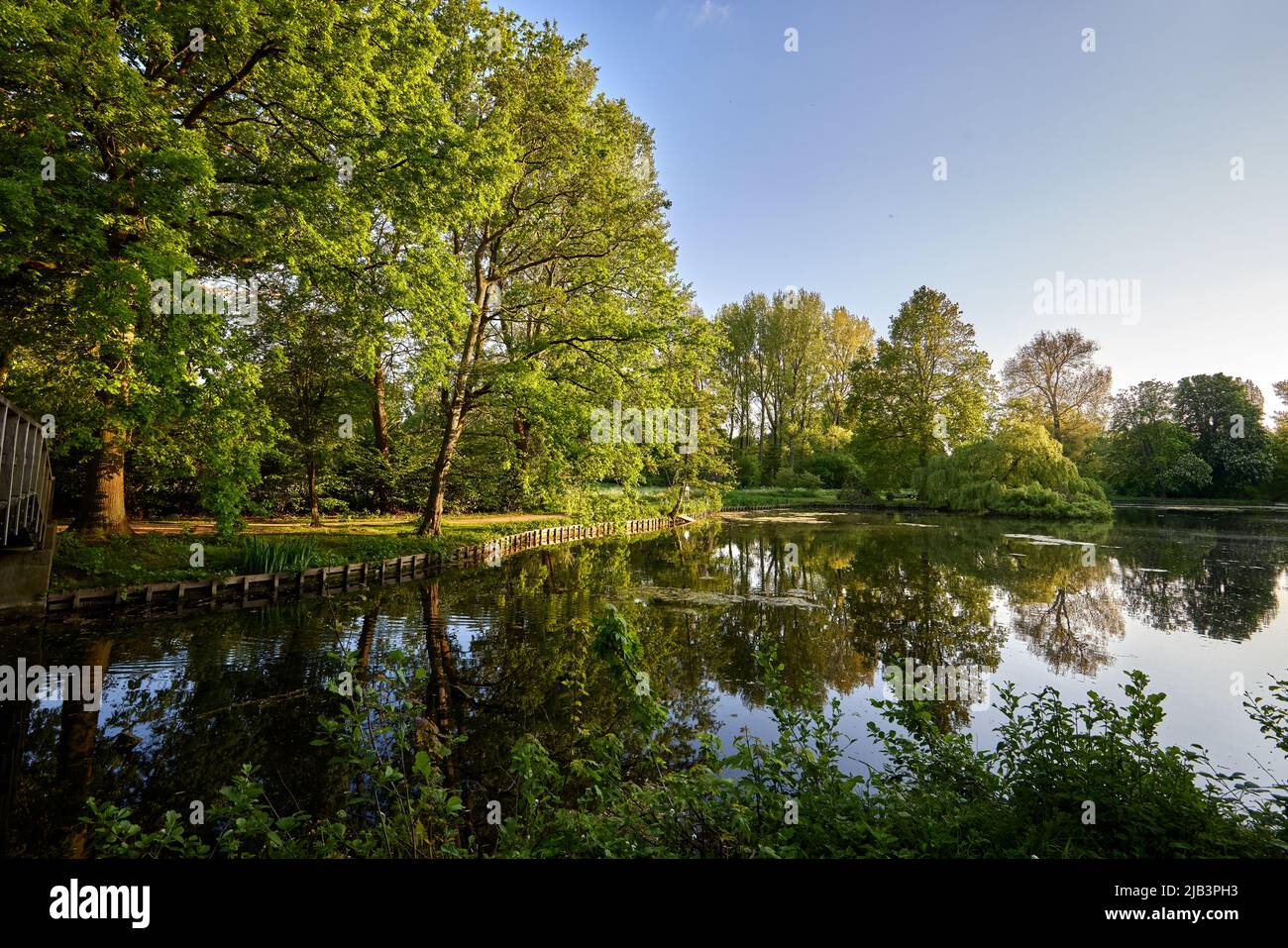 Pond and trees during the sunset in Provincial Domain Rivierenhof - Antwerp Belgium Stock Photo