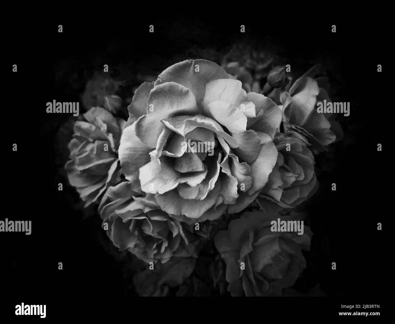 Horizontal line illustration Black and White Stock Photos & Images - Alamy