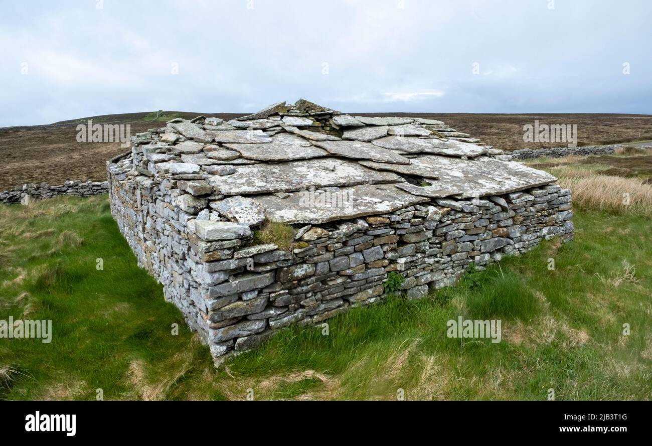 Derelict building on the Island of Rousay, Orkney Islands, Scotland. Stock Photo