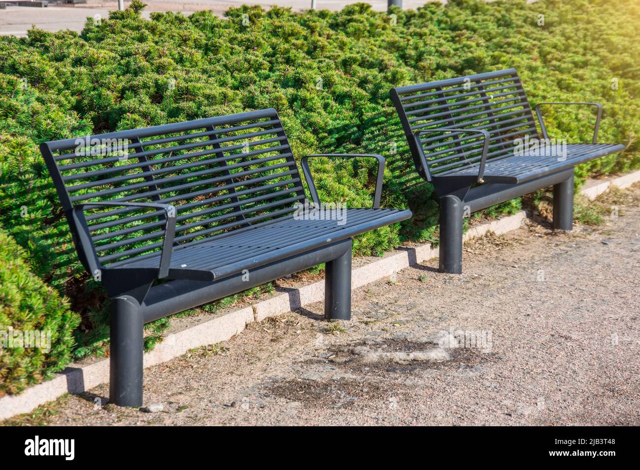 Two black metal benches on the sidewalk with green pine bushes. Stock Photo