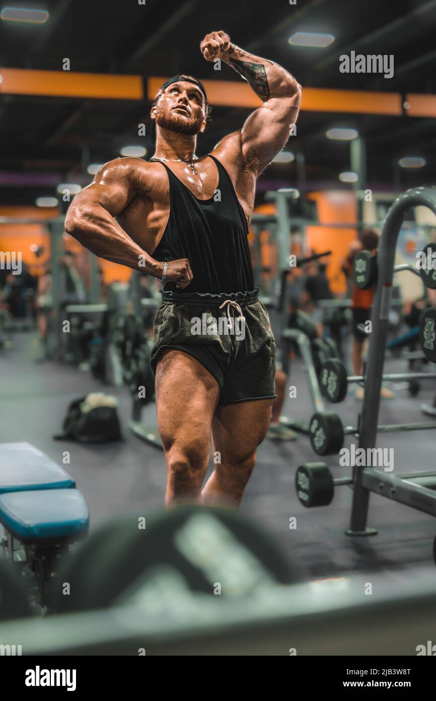 tall male bodybuilder flexing muscles for fitness Stock Photo Alamy