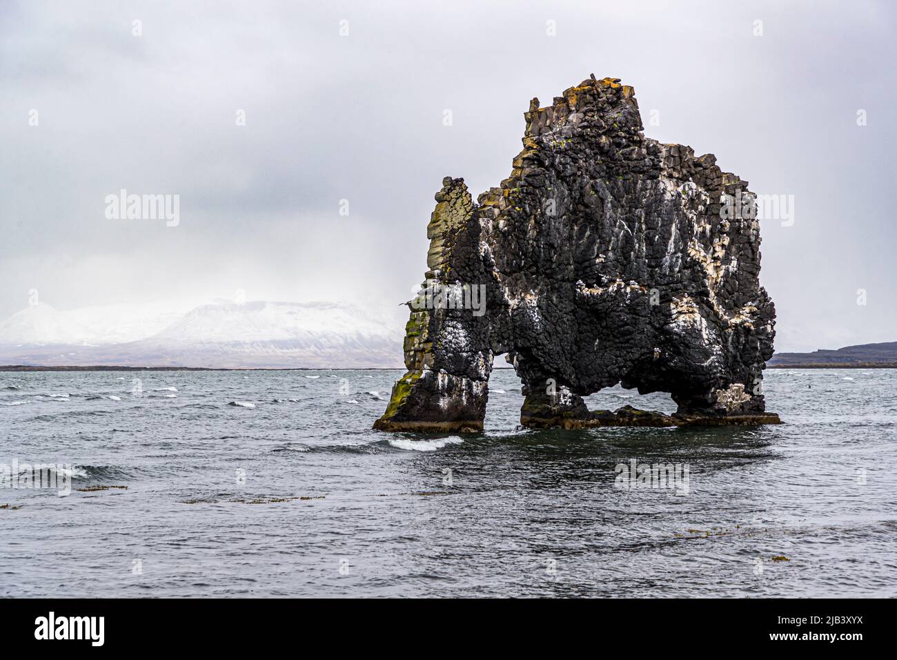Hvítserkur is a 15 m high basalt rock jutting out of Húnaflói Bay in Iceland Stock Photo