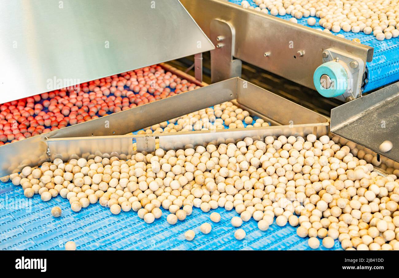 process of cleaning and sorting nuts in a factory Stock Photo Alamy