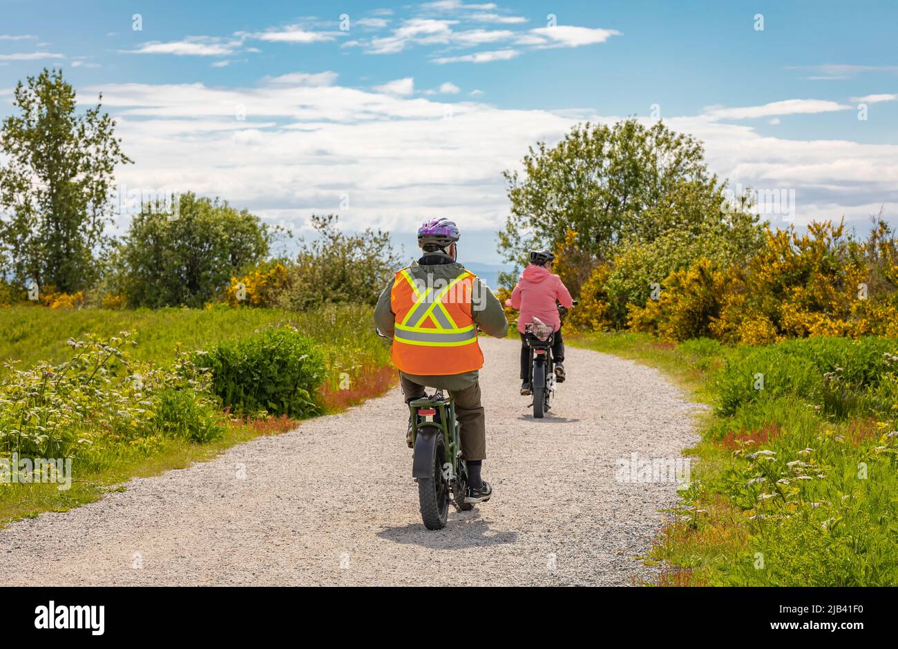 Family bike ride in Sunny spring day along fields and forest. A group