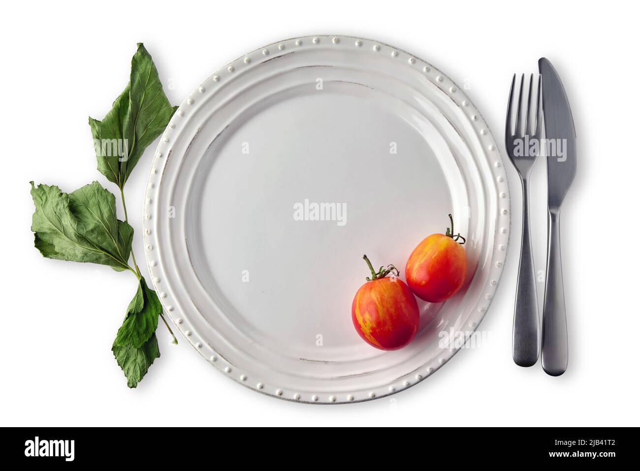 White ceramic plate decorated with dried currant leaves and tomatoes with cutlery on a white plate. Restaurant menu mockup Stock Photo