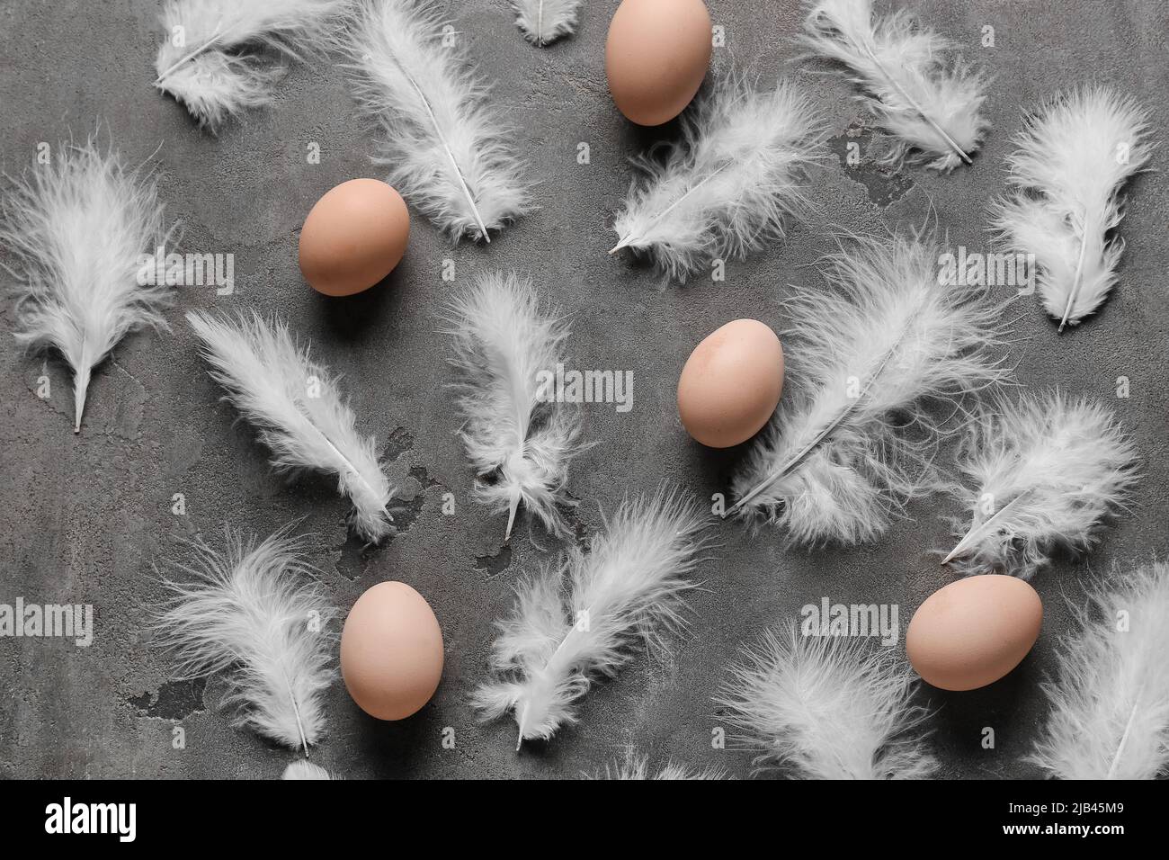 Eggs and beautiful feathers on grey background Stock Photo - Alamy