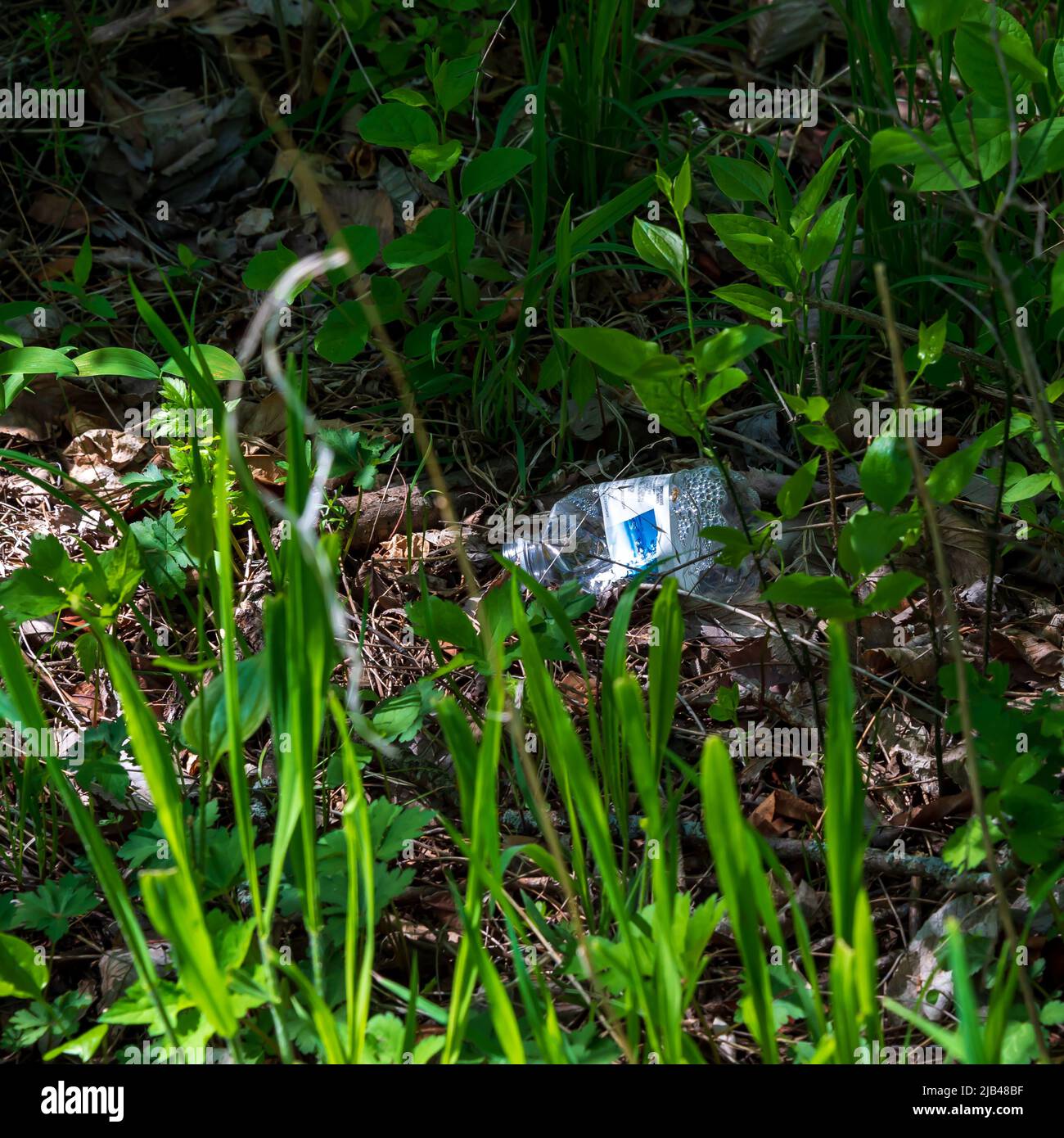 Harmful litter hi-res stock photography and images - Alamy