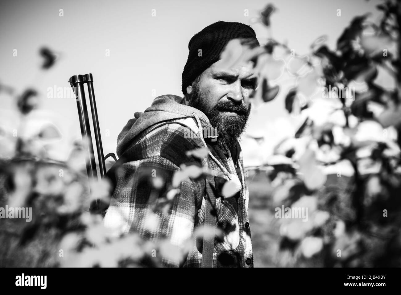 Bearded hunter man holding gun and walking in forest. Hunting without