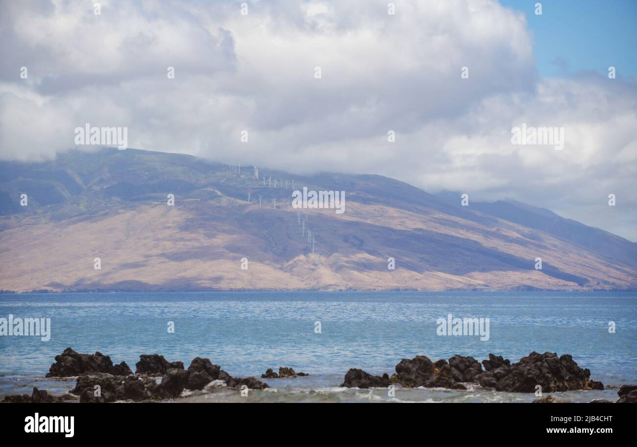 Hawaiian beach background. Enjoying paradise in Hawaii. Panorama tropical landscape of summer scenery with palm trees. Luxury travel vacation. Exotic Stock Photo