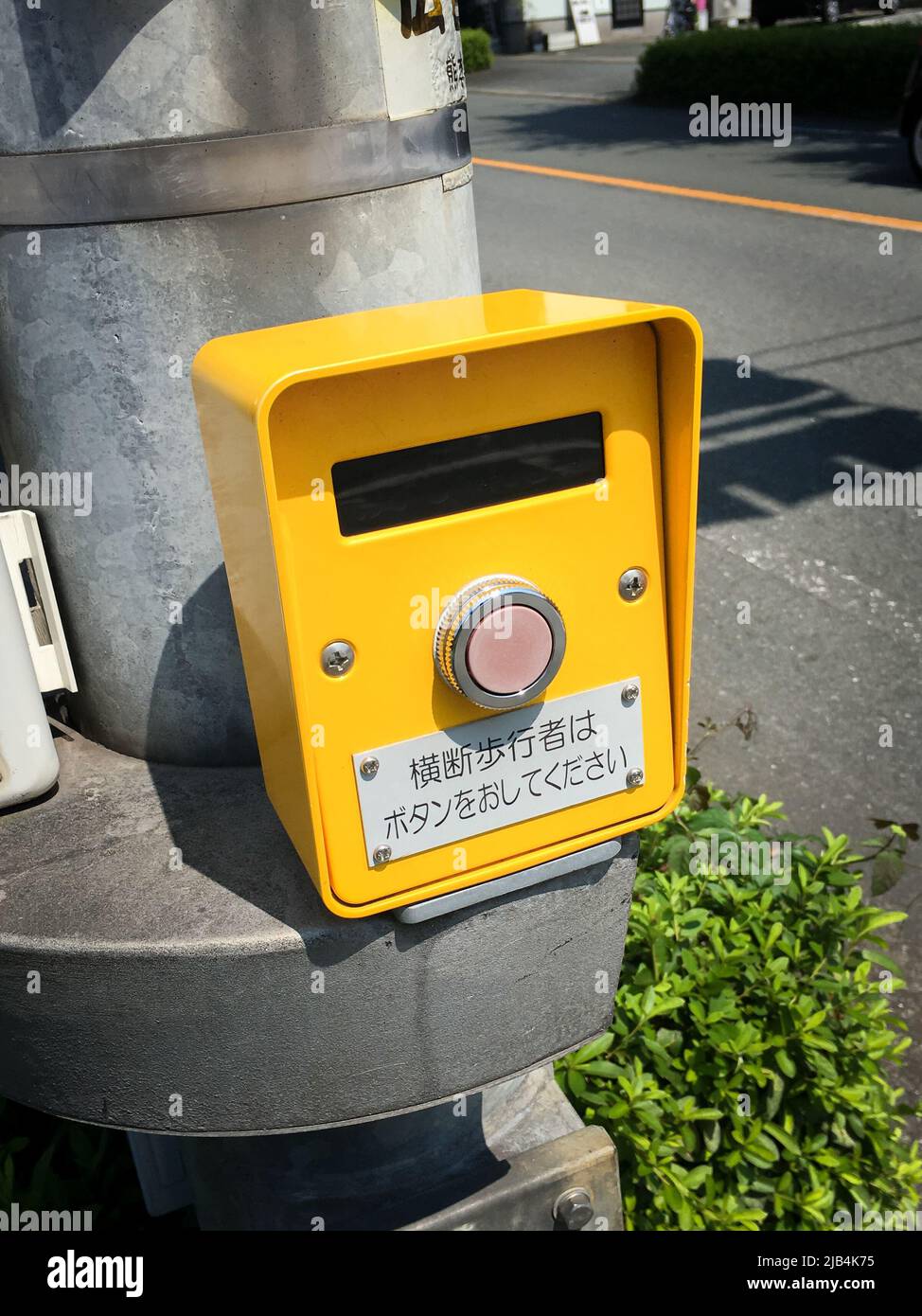 A yellow traffic light button equipped on a pole for crosswalk, Kumamoto, Japan. Translation : Please push the button if you are crossing pedestrian Stock Photo