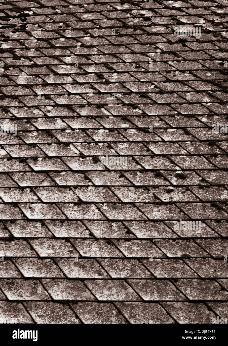 Sepia Colours, Old mossy and weathered house roof, Wallpaper, Bad Leonfelden, Muehlviertel region, Upper Austria, Austria Stock Photo