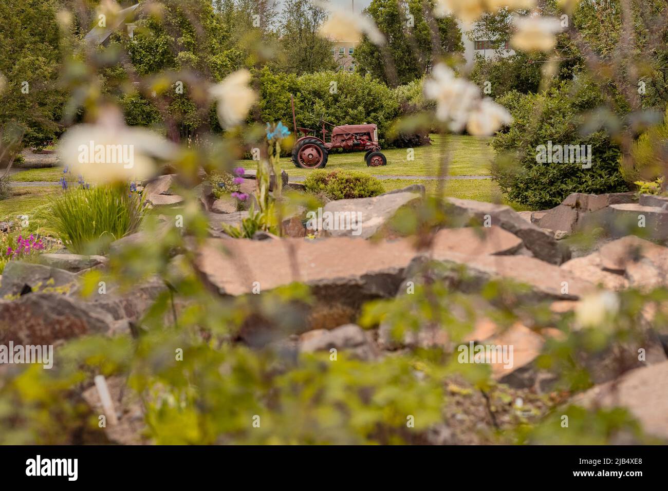 Old brown tractor as exhibit in the botanical garden of Akureyri in Iceland with some flower and stone garden in the foreground. Stock Photo