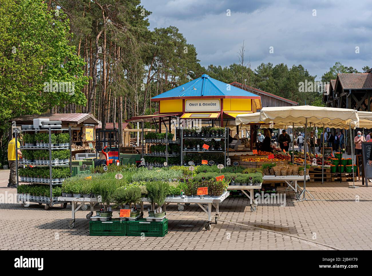 Market stalls and sales booths on the grounds of the asparagus farm in