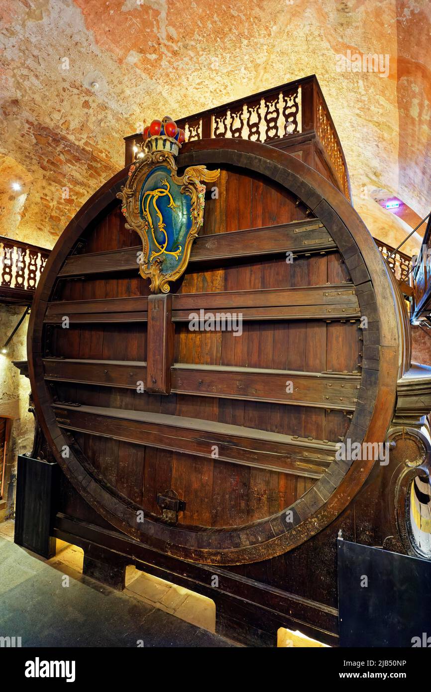 The Great Barrel, Karl Theodor Barrel, built in 1751, wine barrel, capacity 219. 000 litres, historic barrel cellar, vault, Heidelberg Castle, first Stock Photo
