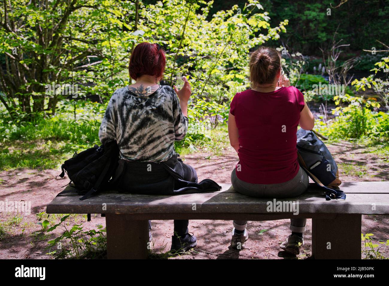 Mature women sitting on a bench in nature Stock Photo